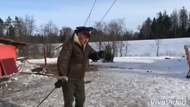 Казаки,лошади,Игнатовский смотреть онлайн