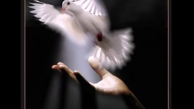 А был ли мальчик читает Инна Мень.mp4 смотреть онлайн