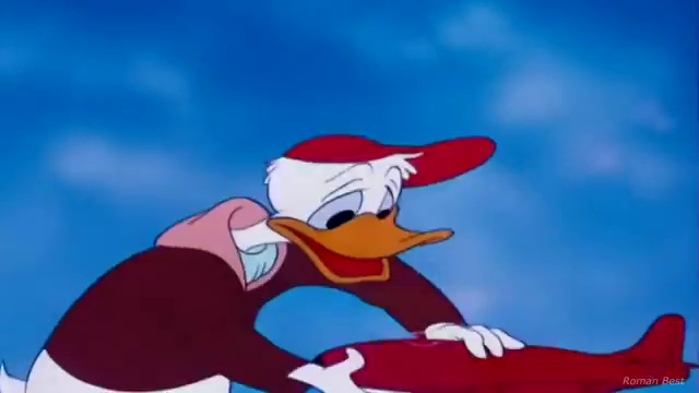 Donald Duck Catoons A02