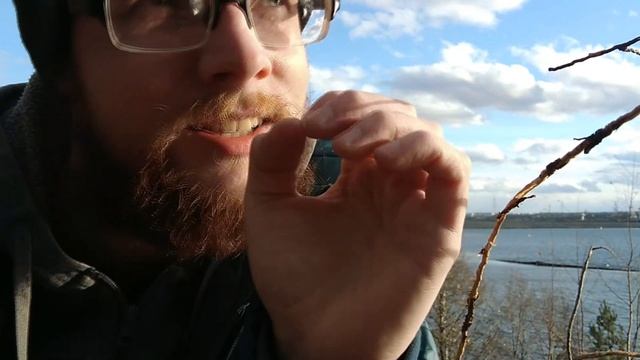 КАК Я ОТКОСИЛ ОТ АРМИИ