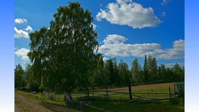 И Бунин Северная берёза смотреть онлайн