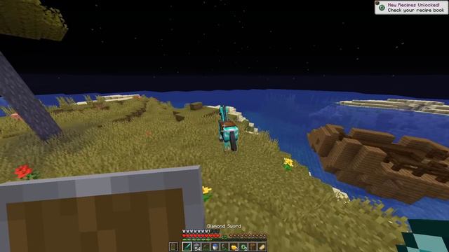 Minecraft Speedrunner VS Hunter (SECOND EVER)