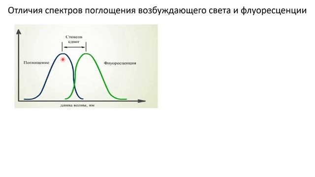 А. Винокуров "Флуоресценция: забавное свечение или мощный инструмент в руках исследователя?" смотреть онлайн