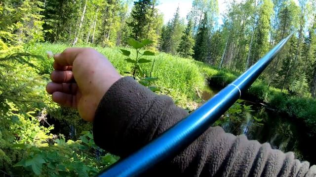 Ловля хариуса вприглядку.Лесной ручей кишит рыбой.Лучшая рыбалка этого сезона.День первый. смотреть онлайн