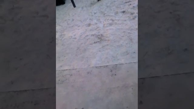 Гринпарк Петропавловск смотреть онлайн