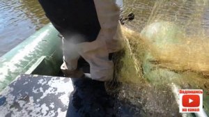 Рыбалка кастинговой сетью на новой реке.