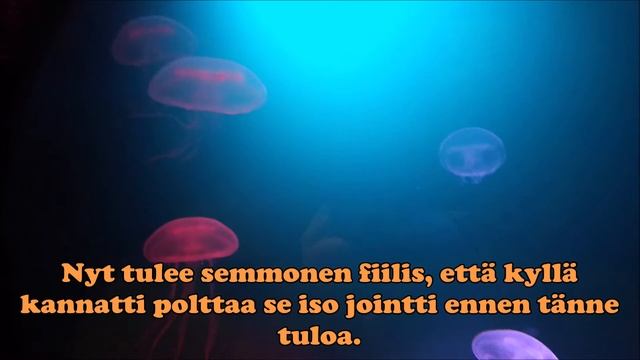 Helsinki Sealife | Tattiradio Reissussa смотреть онлайн