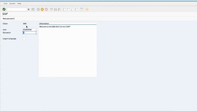 How to login to SAP GUI смотреть онлайн