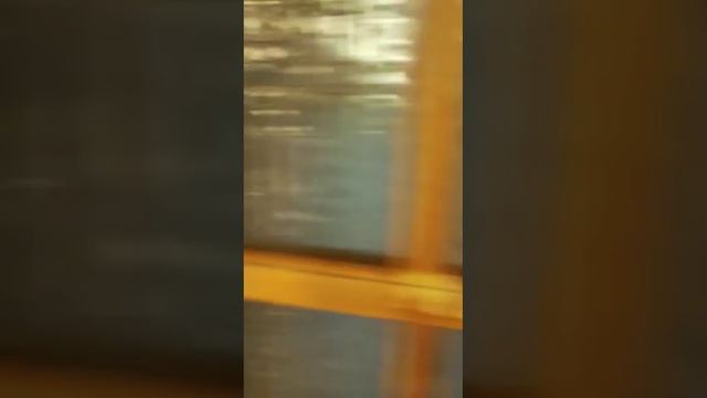 30 октября 2023 г. смотреть онлайн