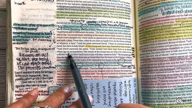 Study the Bible in One Year: Days 103 & 104 1 Samuel 18-24, Psalms 11 & 59 смотреть онлайн