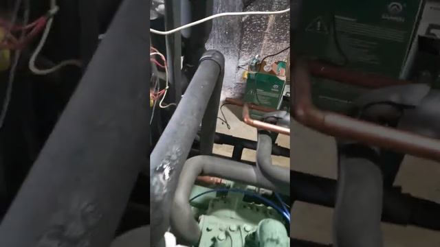 Агрегат для заморозки мяса на базе двух компрессоров Bitzer смотреть онлайн