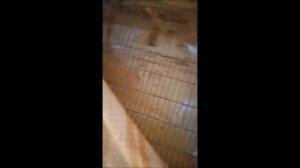 Брудер для цыплят из старого холодильника.