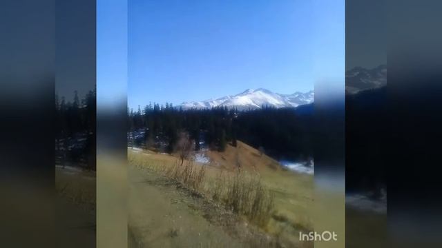 ПсеШеБурки. Псебай - Архыз - Пхия - Псебай смотреть онлайн