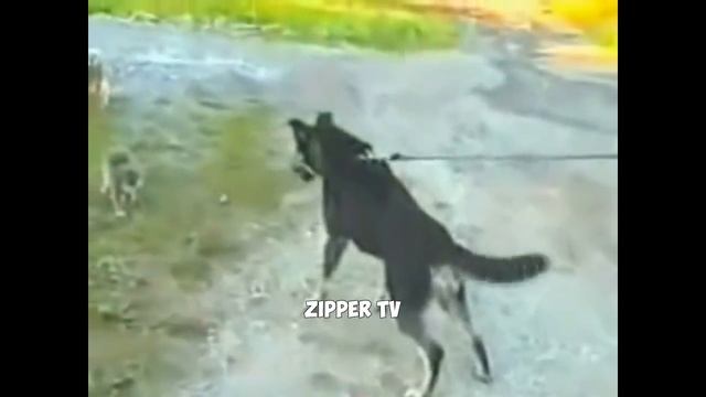 КОГДА НЕ ЗАССАЛ И ЗАСТУПИЛСЯ 2 смотреть онлайн