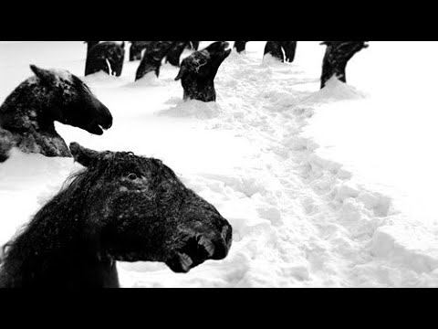 Факты о Которых Мало кто знает смотреть онлайн