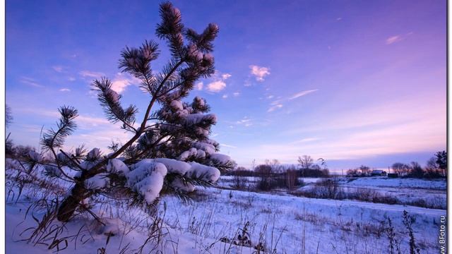 зимние пейзажи смотреть онлайн
