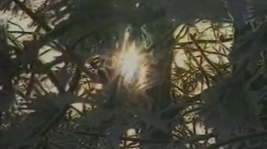 Наталья  Штурм   Комсомольск на Амуре