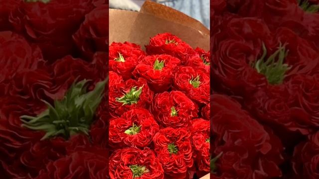 Red monster https://rostov-buket.ru/shop/2686/desc/rozy-red-monster-v-krafte смотреть онлайн