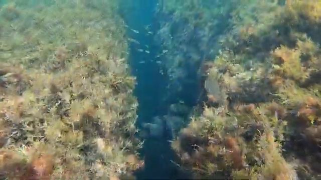 Царское село смотреть онлайн