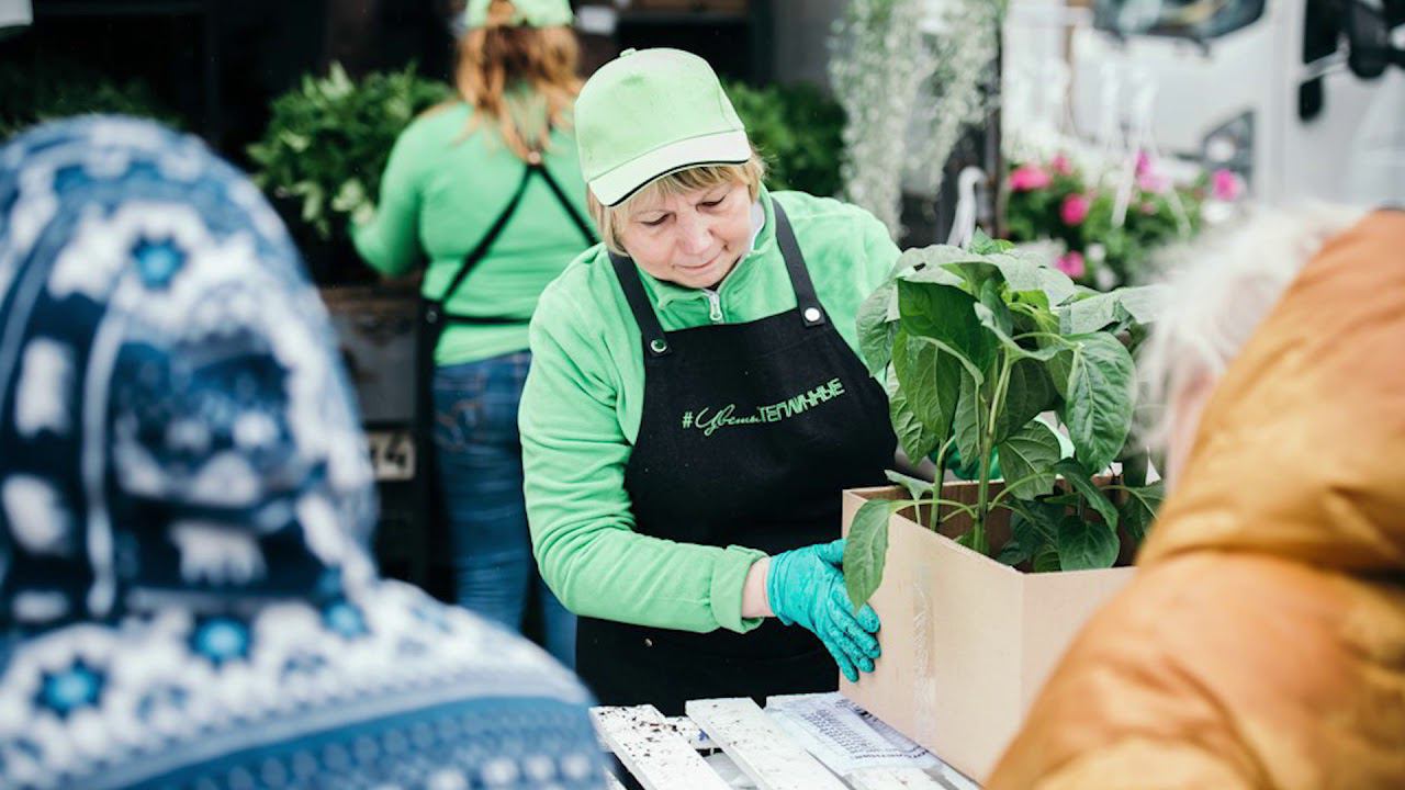Тепличный конкурс Украшение ярмарки смотреть онлайн