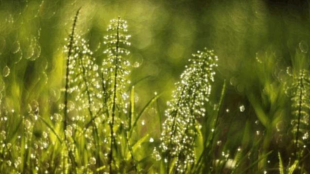 Стихотворение - "Секунды" - Евгений Кобелев смотреть онлайн