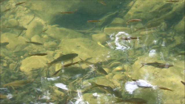 Водопад Клонг Плу Остров Ко Чанг в Таиланде - 3 смотреть онлайн