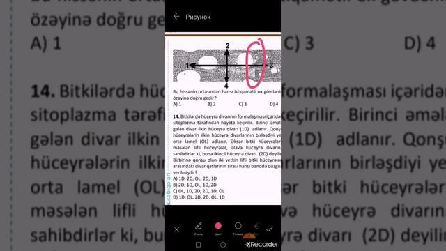 7-ci siniflərdə Biologiya fənn müsabiqəsi final sualları 2018/19 смотреть онлайн