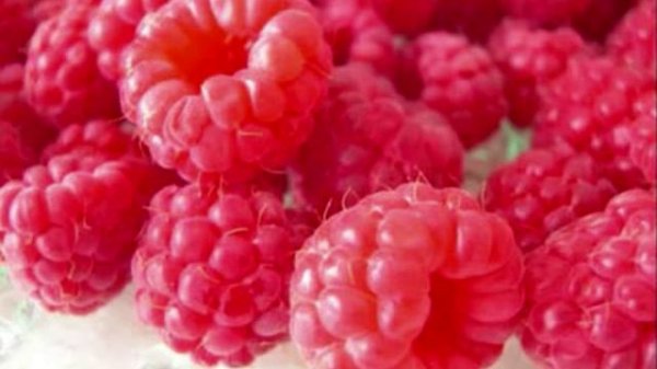 Serge REGGIANI Il suffirait de presque rien - YouTube