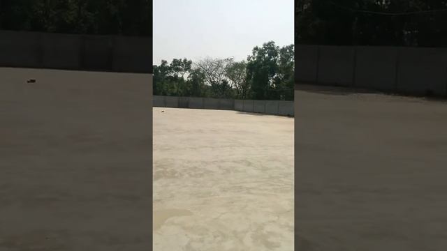 Auto rise mile смотреть онлайн