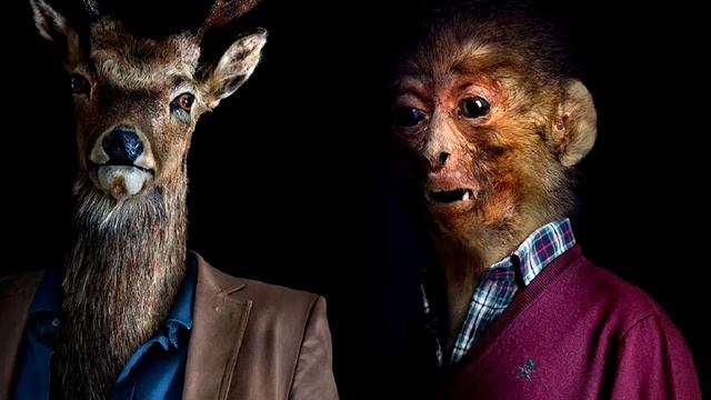 Руководство по Мастерству