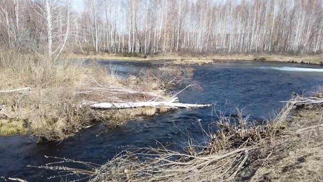 Форель и пруды в Урожайном смотреть онлайн