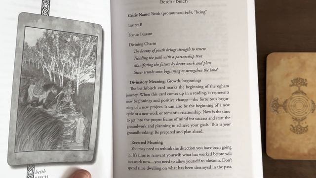 Unboxing The Voice of Trees Oracle Limited Edition | Happy mail from @MickieMuellerStudio смотреть онлайн