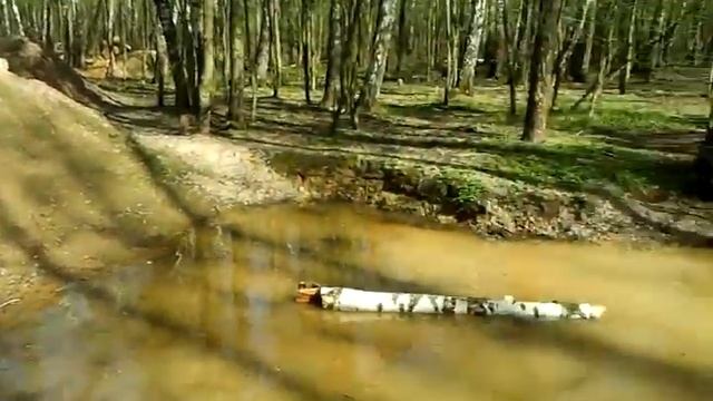 Пёс Тотоша с невестой Марой, породы фландрский бувье. (Весна 2016) смотреть онлайн