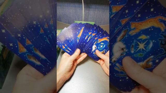 Повседневный Оракул Ведьмы. Карта-совет первым 10 комментариям. смотреть онлайн