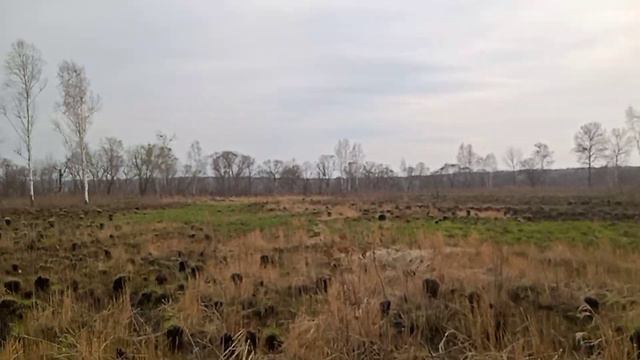 Прогулка с дочкой после пасхи на озёра за фермой! смотреть онлайн
