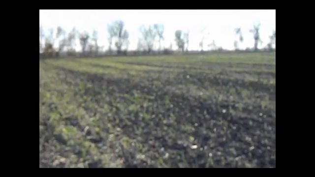 уиппеты 2012 смотреть онлайн