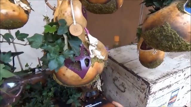 Франция/Я в шоке, а муж сказал еще приедем! Что это было!?/Cidre et Dragon смотреть онлайн