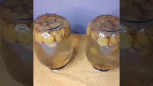 Абрикосовый компот ? рецепт в комментариях?? смотреть онлайн