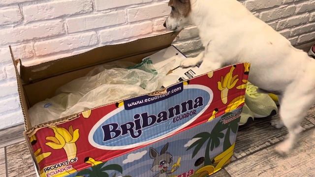 Бананов много не бывает. А чего мелочиться. Брать, так коробками смотреть онлайн