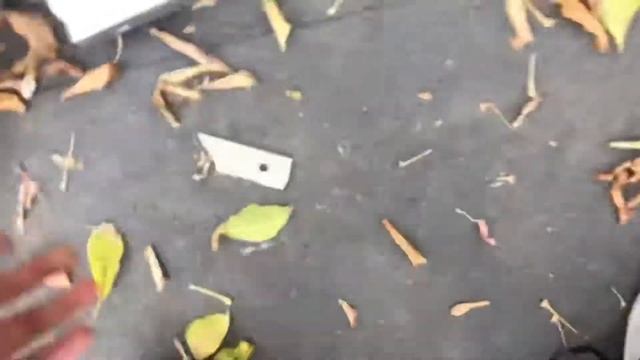 Обзор DVD BBK смотреть онлайн