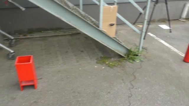 Большой обзор штатных камер переднего вида AVEL AVS324CPR