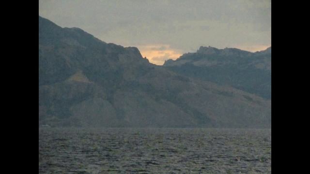 День 37  Мужская сила Рода