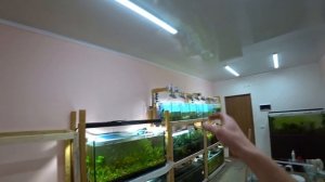 Стеллаж-стойка под новые аквариумы