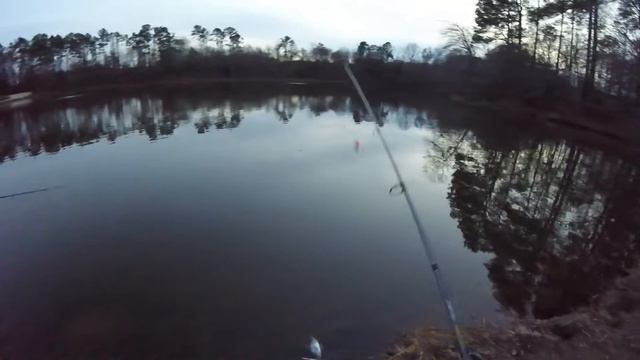 Winter 2018 Fishing for Large Trophy Perch смотреть онлайн