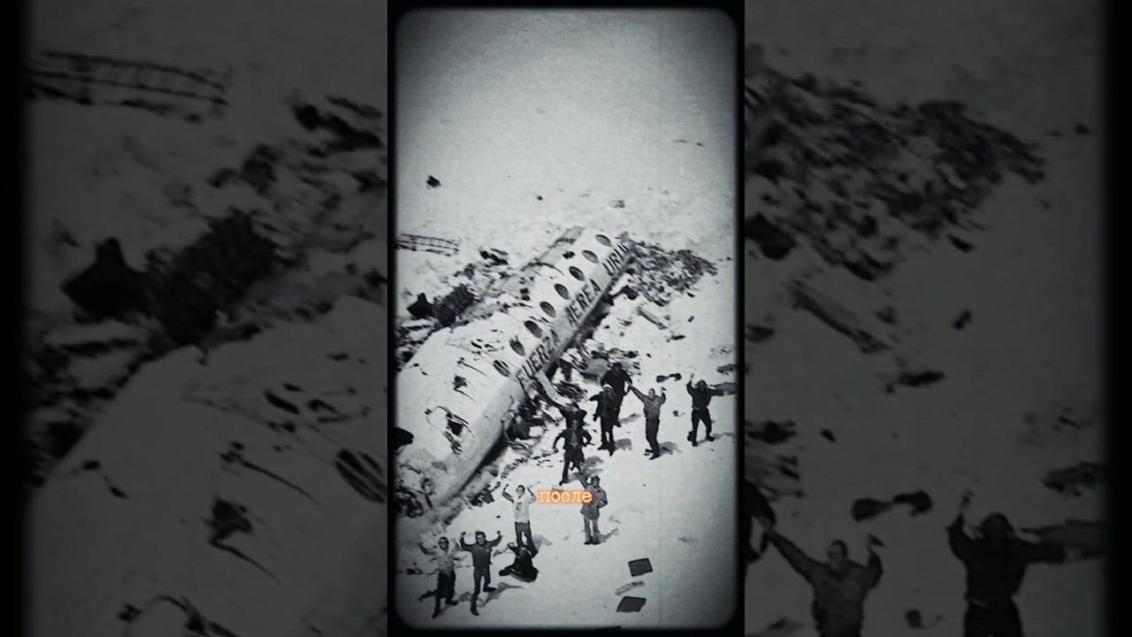 Вынужденный каннибализм.... #бенорд #авиакатастрофа #выживание