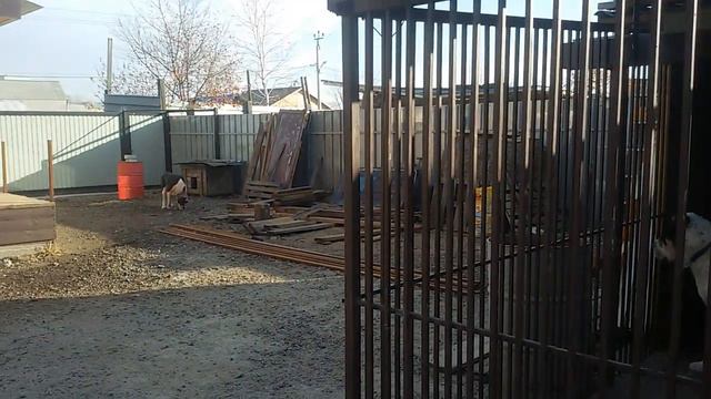 Бугай Алабай. Хорошо. смотреть онлайн