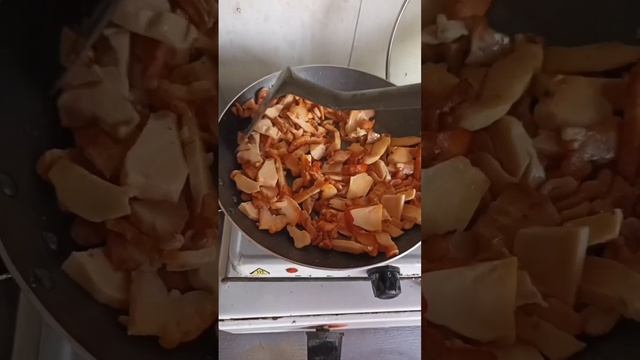 Как мы нашли трутовик серножелтый. Приготовление. смотреть онлайн