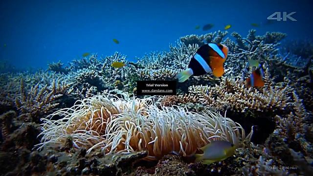 CHRISTIAN SONGS смотреть онлайн