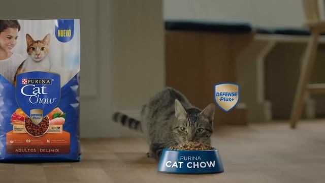 Nuevo Purina Cat Chow смотреть онлайн