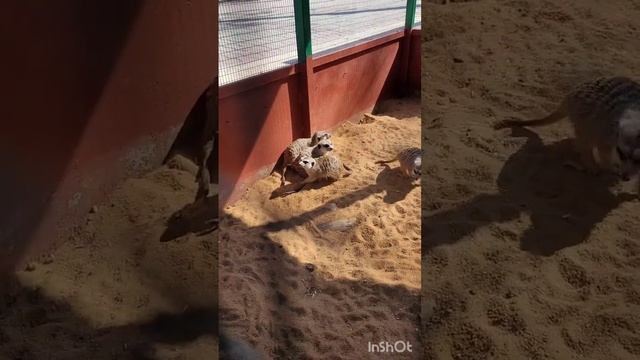 Поездка театра "За горизонтом"на III Инклюзивные творческие игры, которые проходили в Липецке? смотреть онлайн